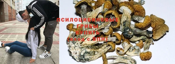 мескалин Касимов