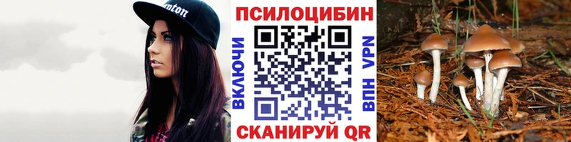 Галлюциногенные грибы прущие грибы Купить Кяхта